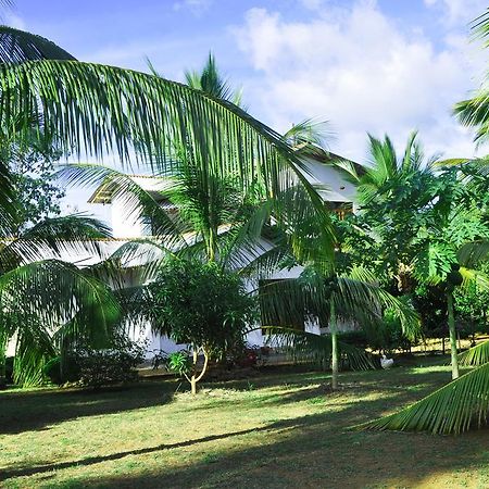 Coconut Garden House Otel Udawalawe Dış mekan fotoğraf