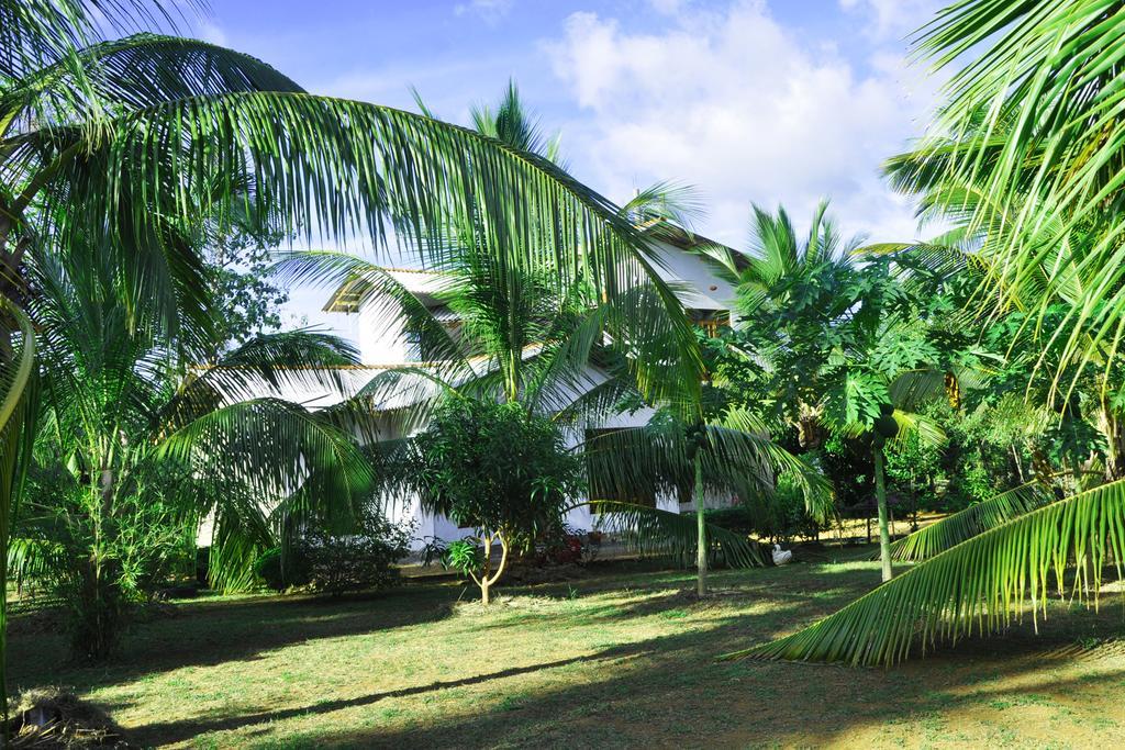 Coconut Garden House Otel Udawalawe Dış mekan fotoğraf