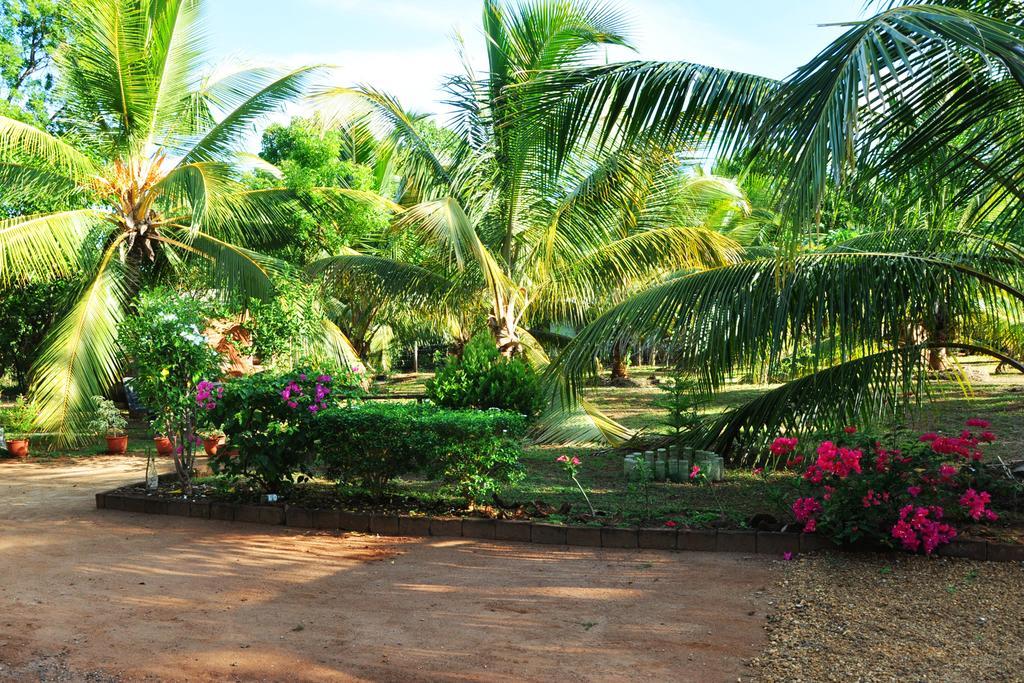 Coconut Garden House Otel Udawalawe Dış mekan fotoğraf