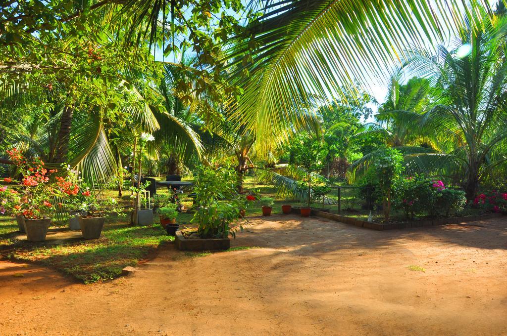 Coconut Garden House Otel Udawalawe Dış mekan fotoğraf