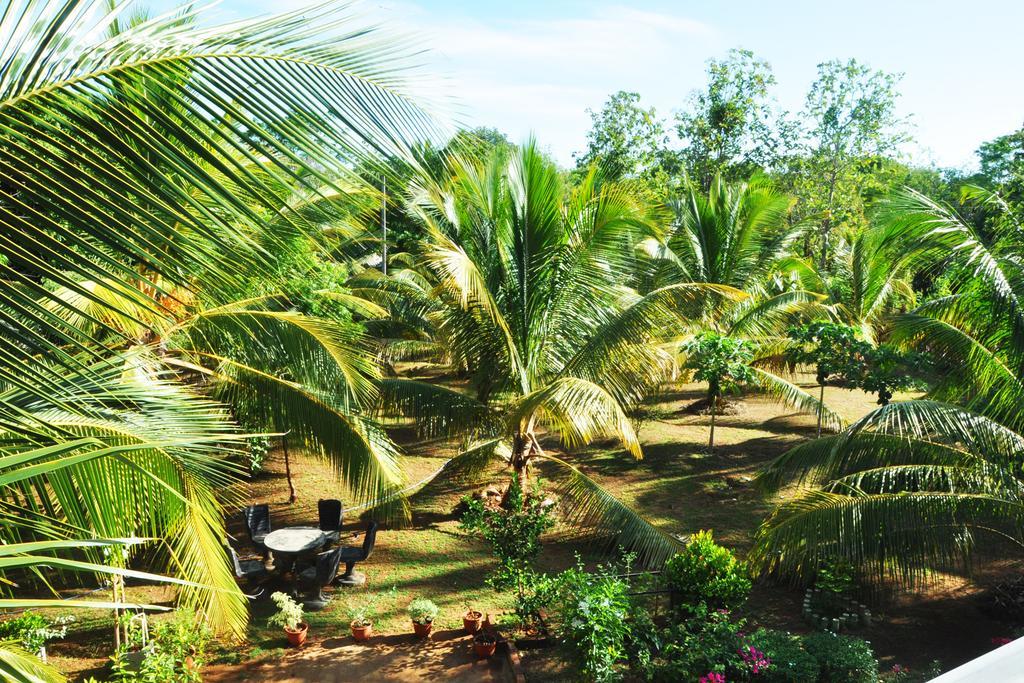 Coconut Garden House Otel Udawalawe Dış mekan fotoğraf
